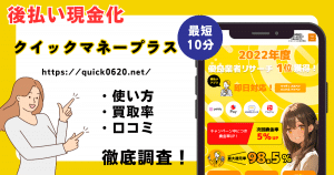クイックマネープラス